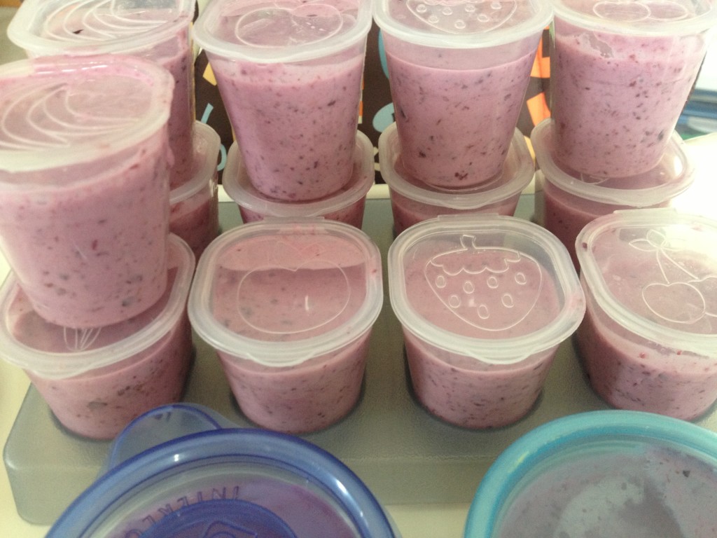 Baby Food SemiHomemade Blueberry Yogurt