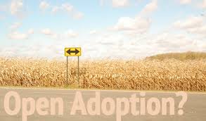 open adopt