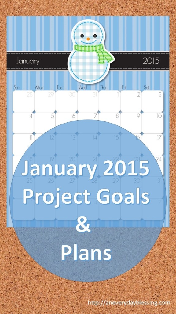 January 2015 Project Plan